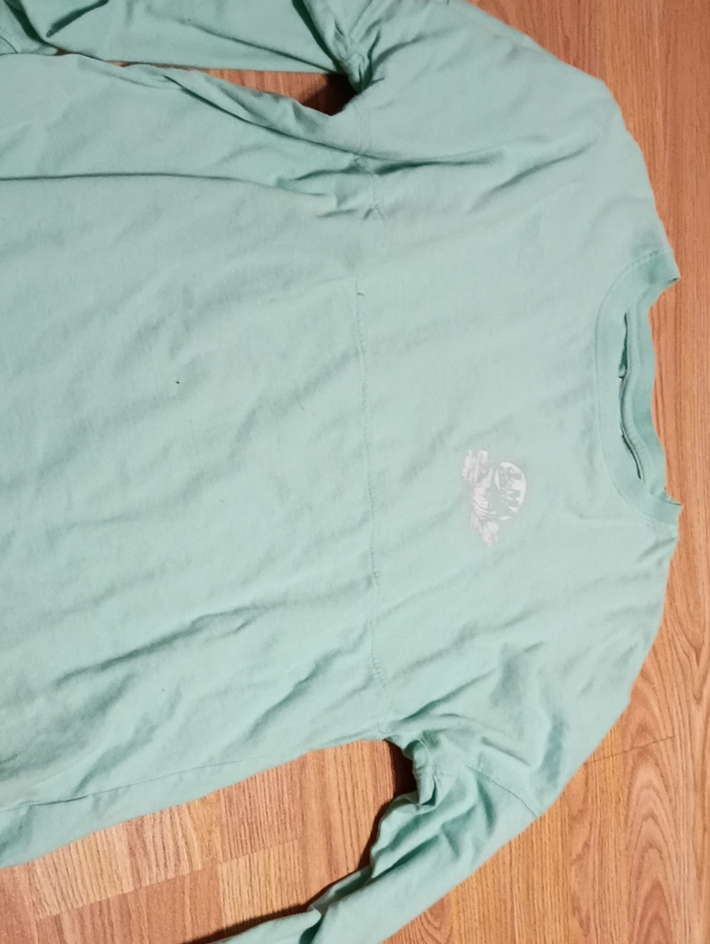 J. America Mint Green Long Sleeve Tee with Small Chest Graphic